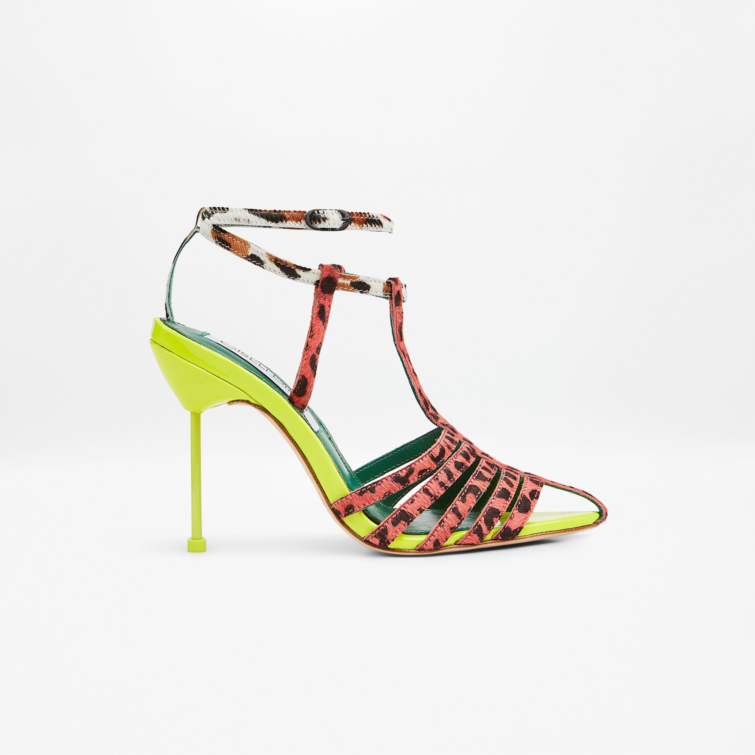 JOLI SAUVAGE image 1