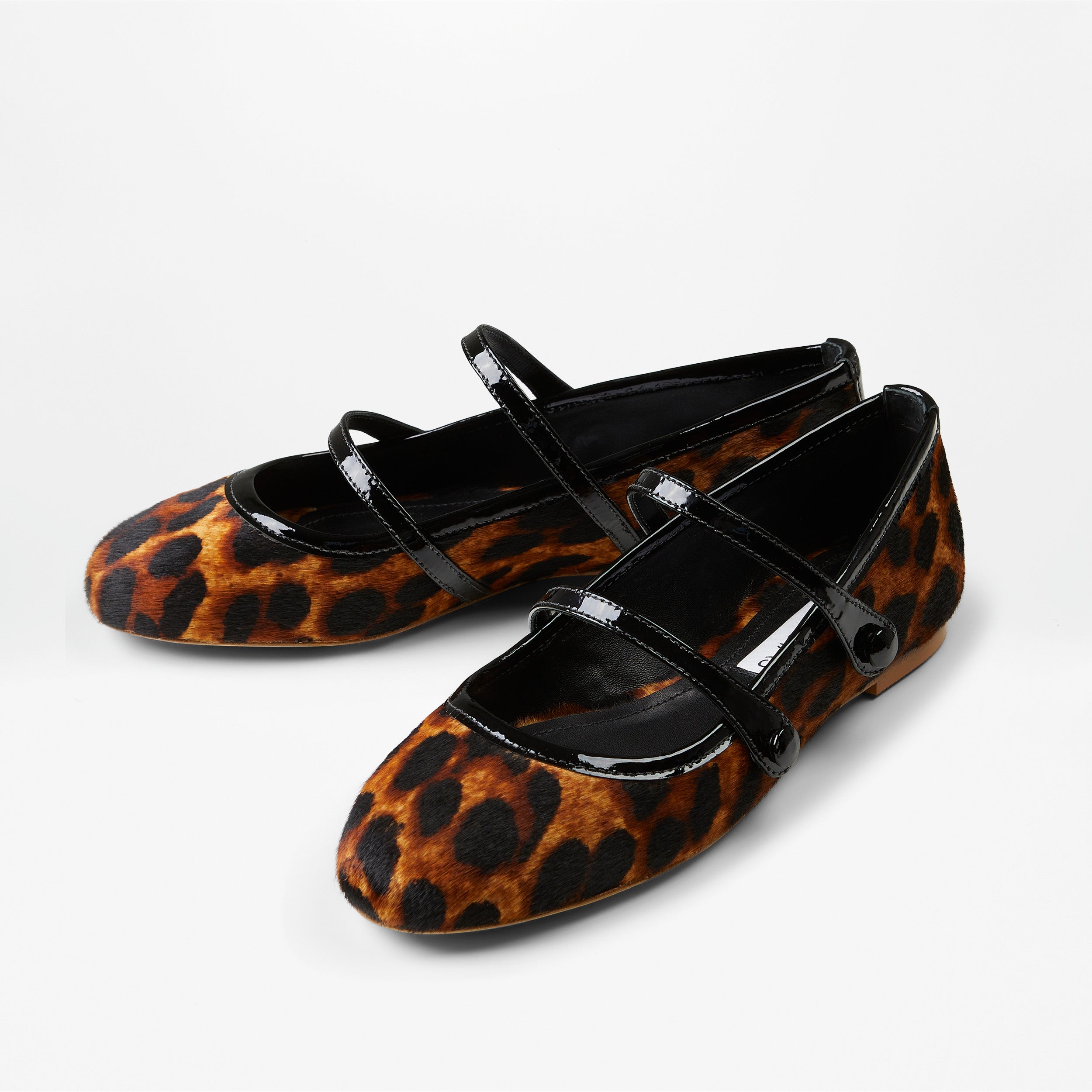 DOROTY LEOPARD image 1