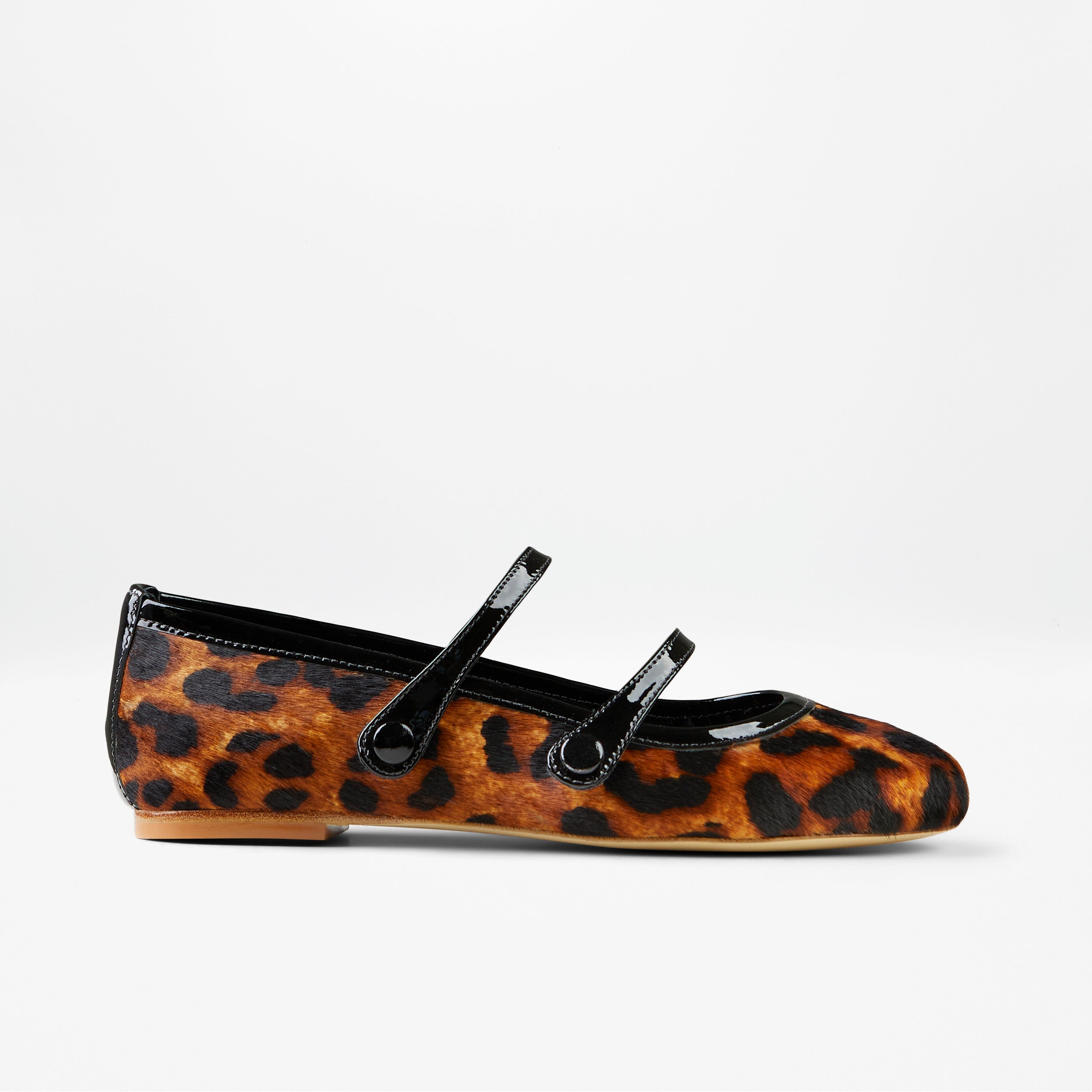 DOROTY LEOPARD image 0