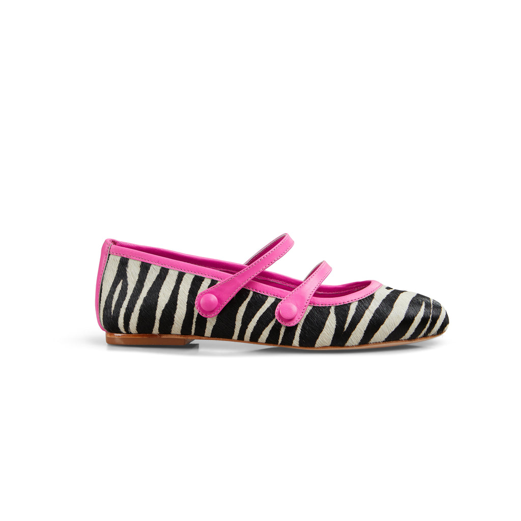 DOROTY ZEBRA