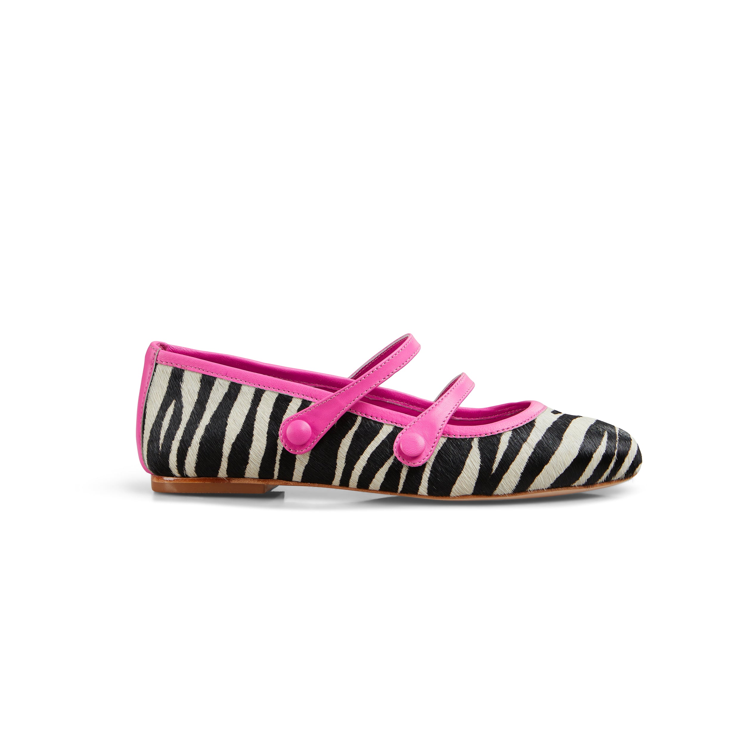 DOROTY ZEBRA