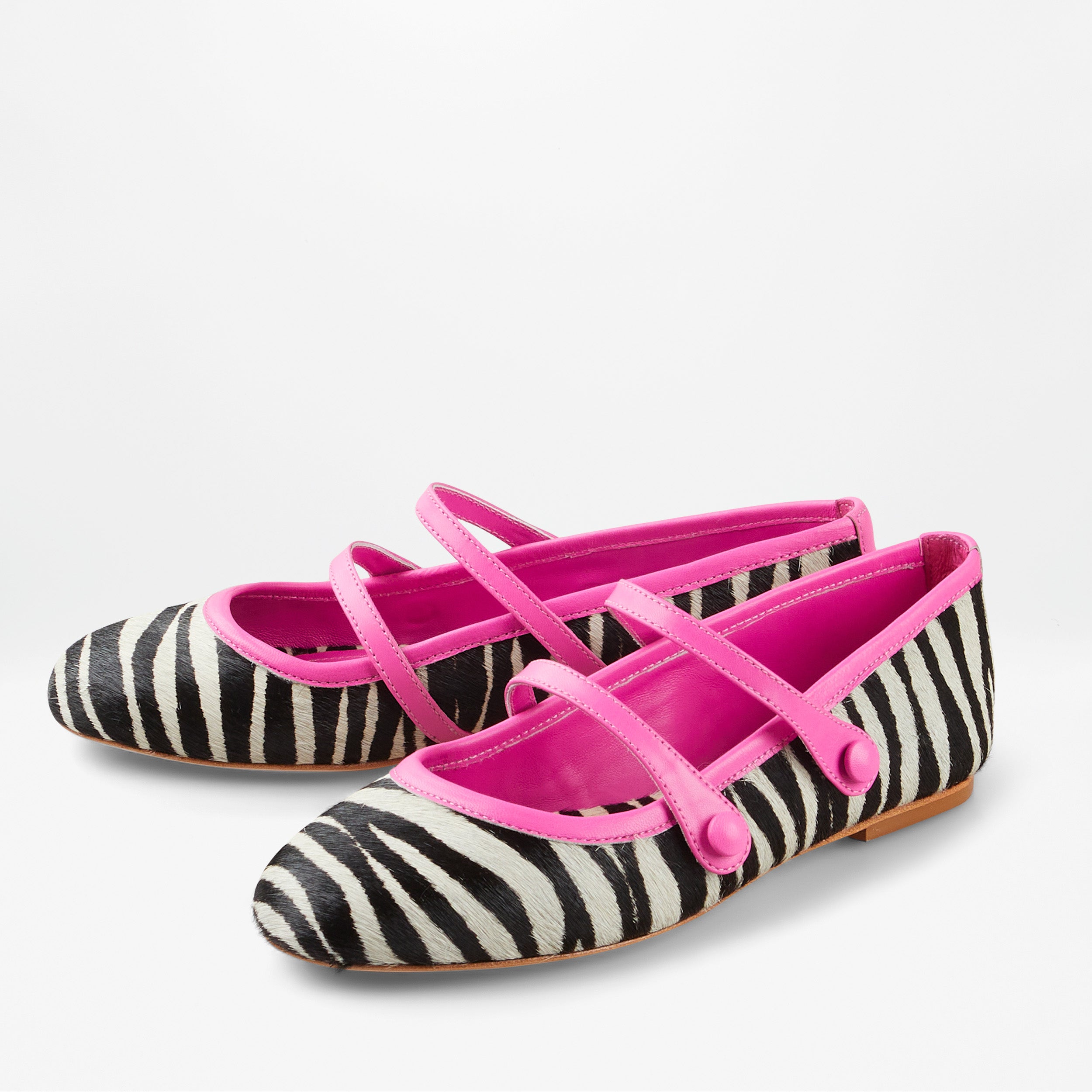 DOROTY ZEBRA image 1
