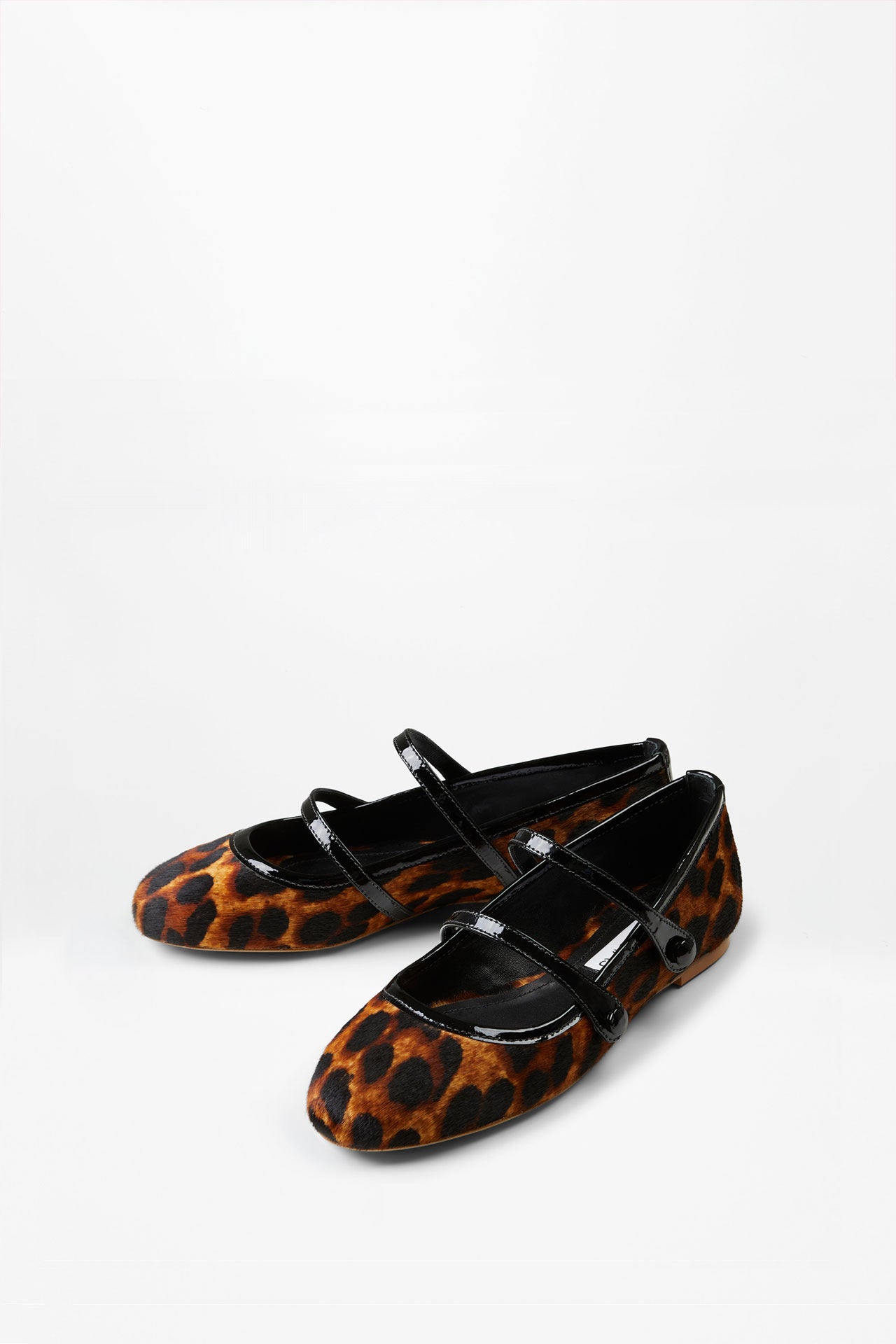 DOROTY LEOPARD