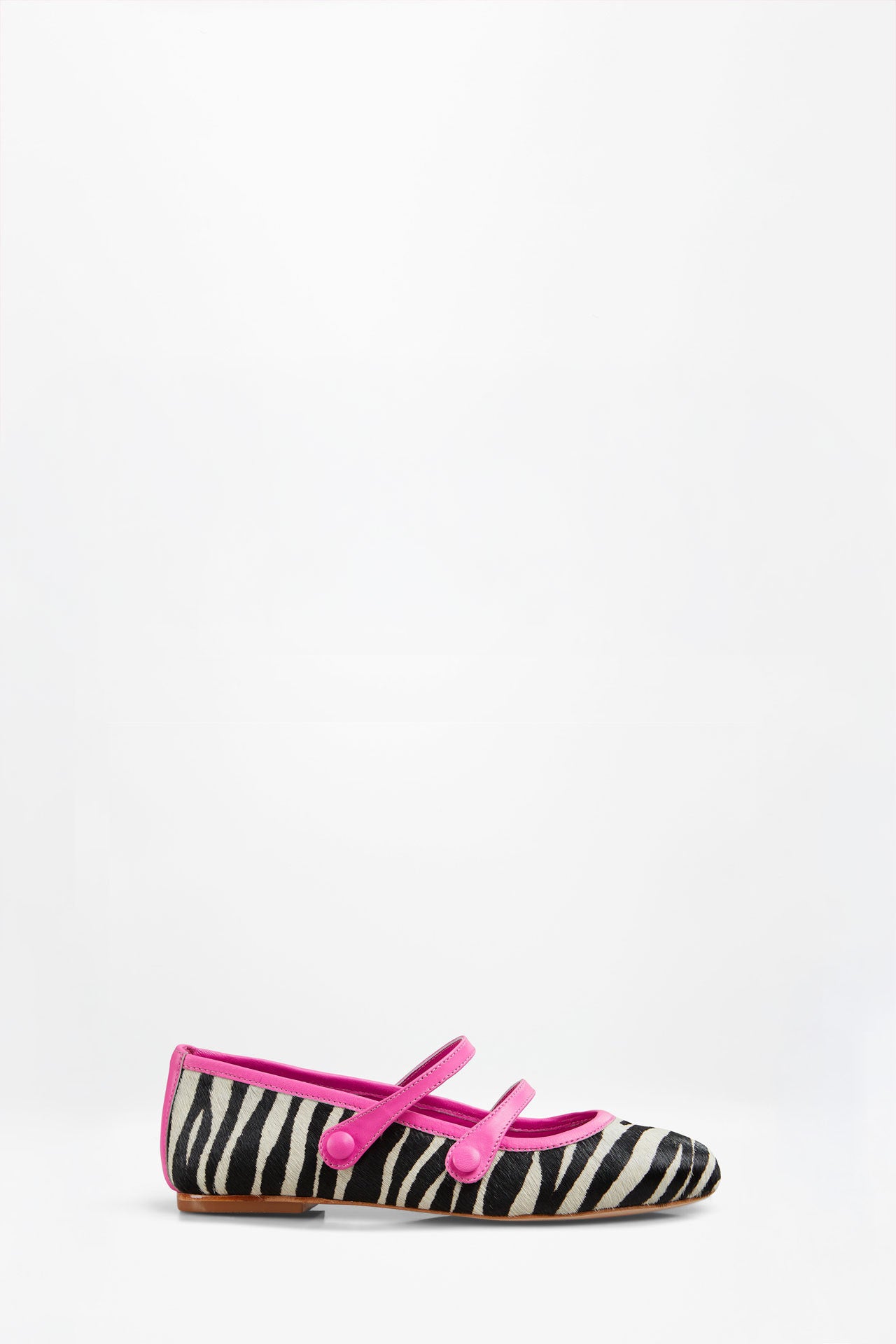 DOROTY ZEBRA