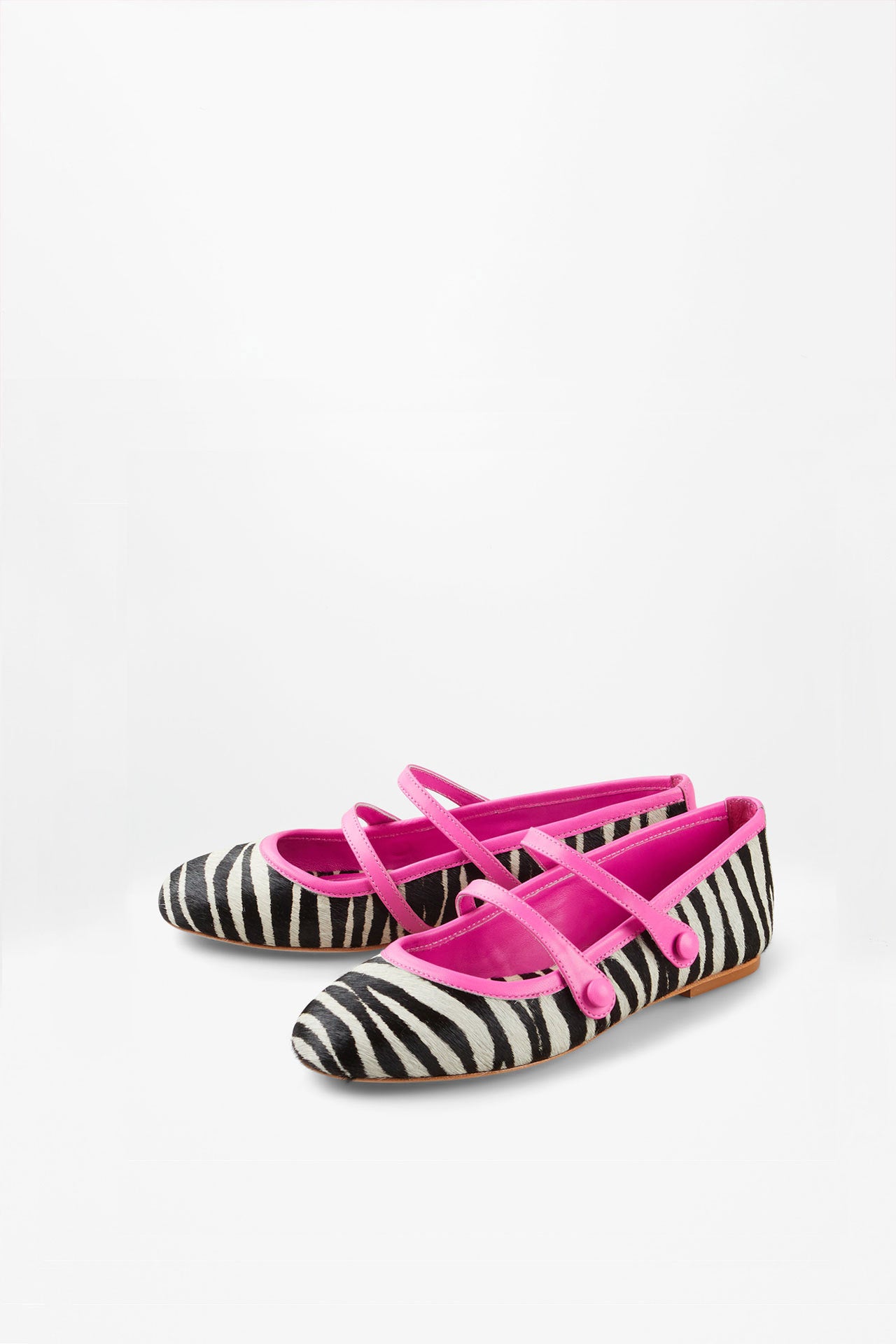 DOROTY ZEBRA