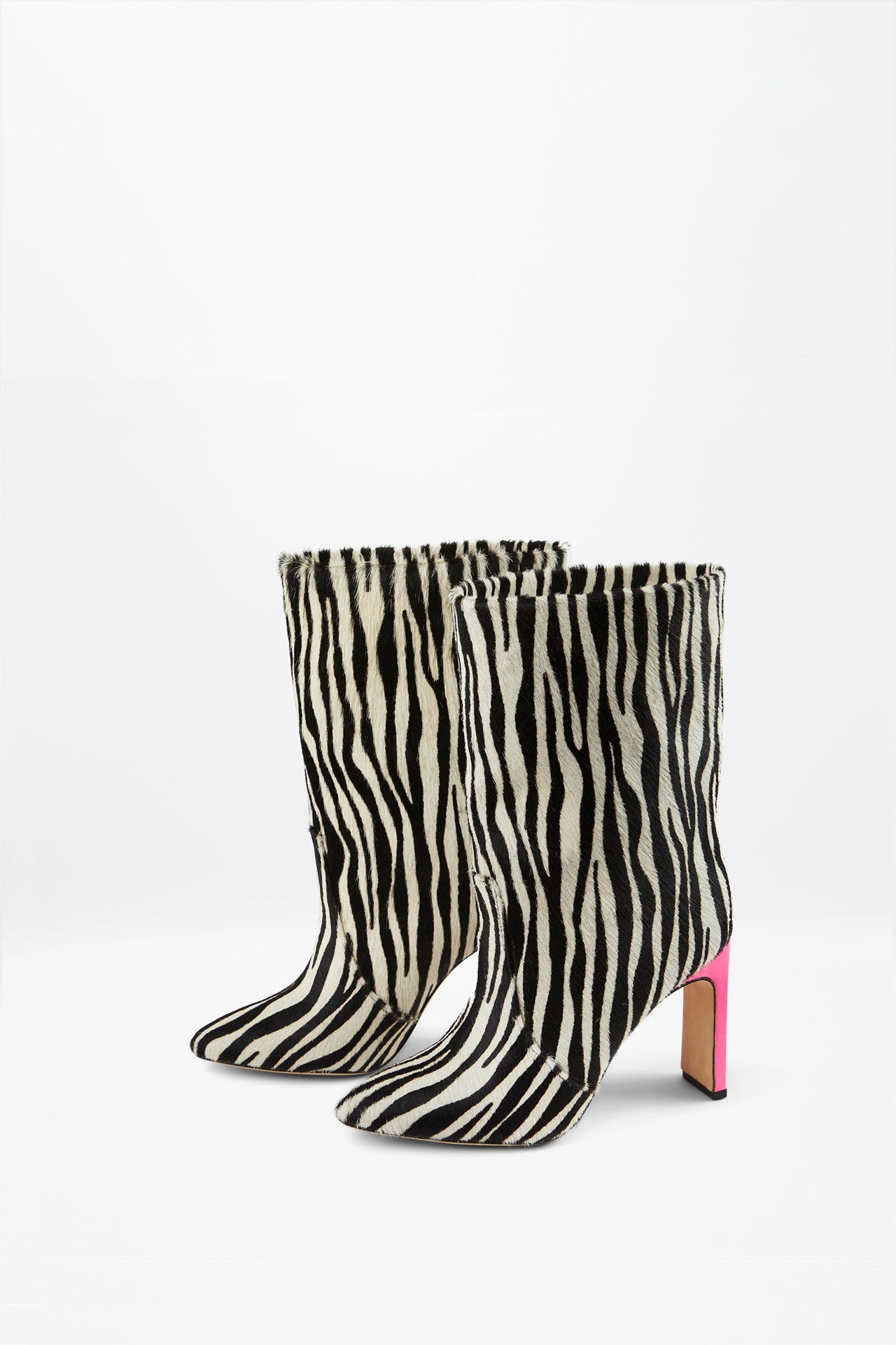 KATE ZEBRA