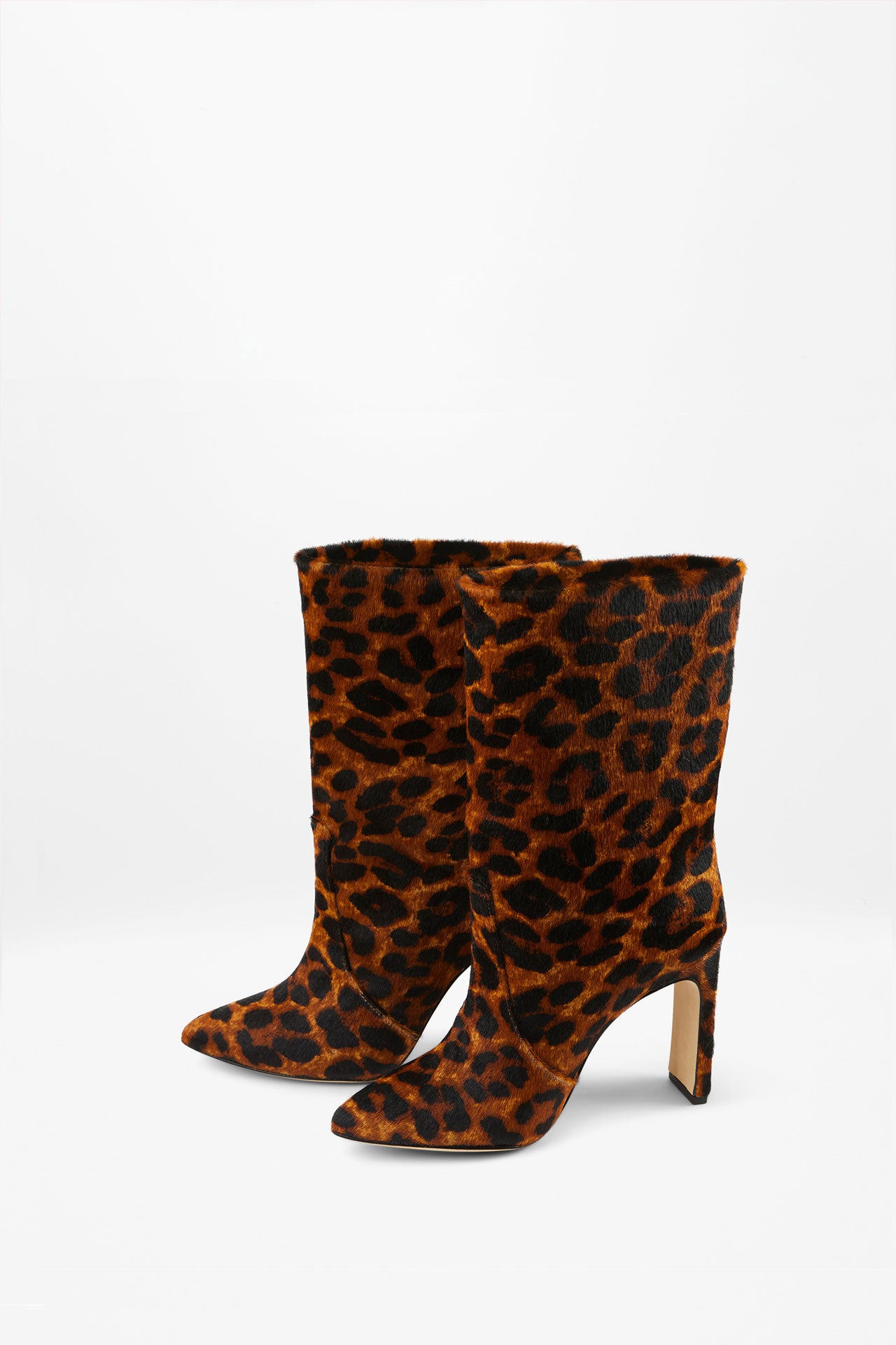 KATE LEOPARD
