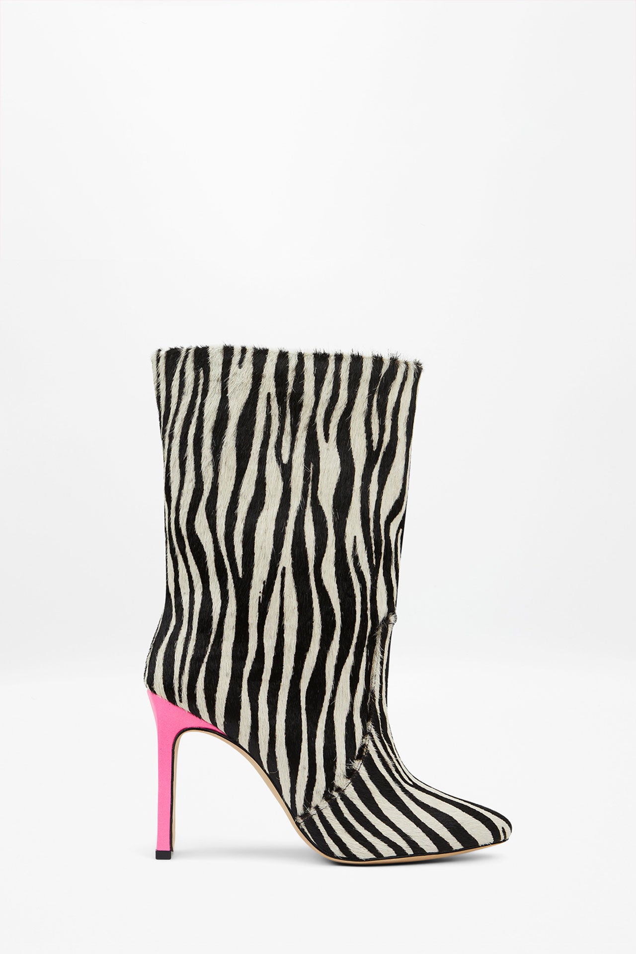 KATE ZEBRA