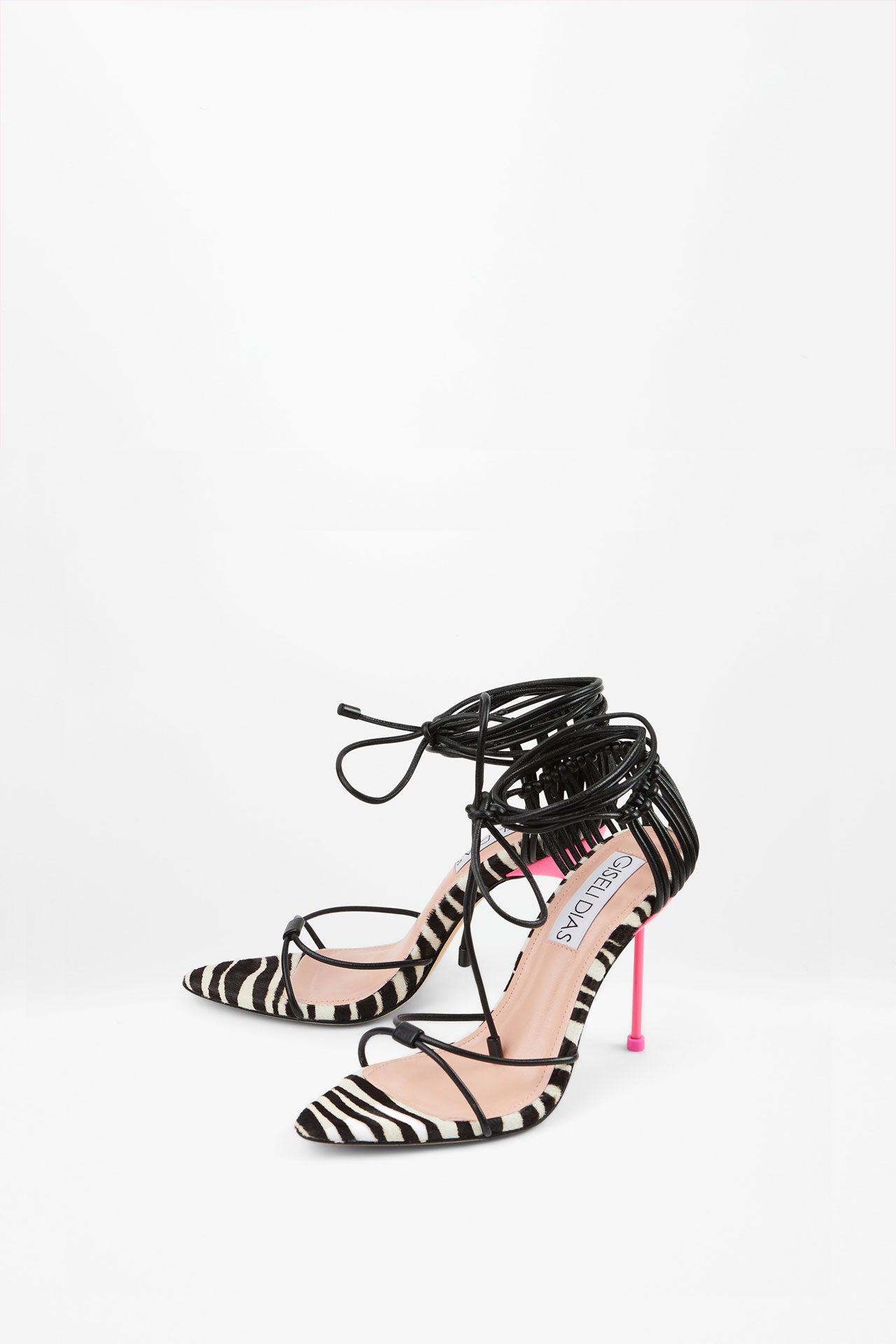 TEREZA ZEBRA