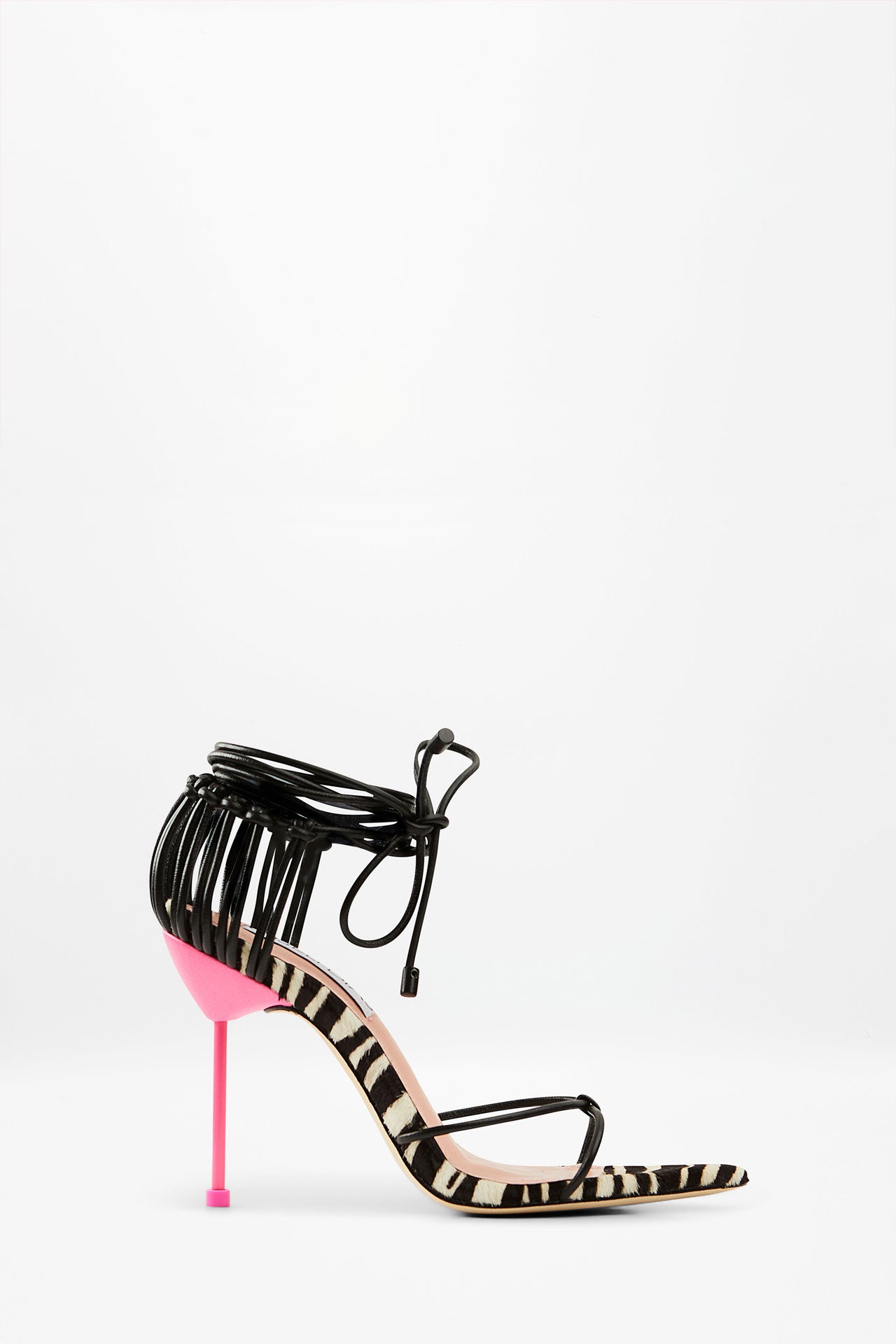 TEREZA ZEBRA
