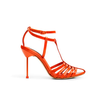 Joli Des Orange
